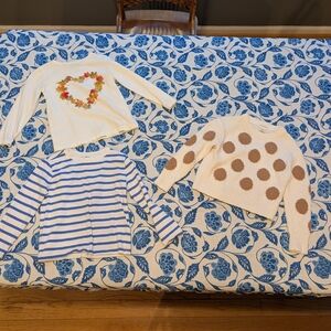 Crewcuts Kids' Long Sleeve Shirts (2) Sweater (1) Collection